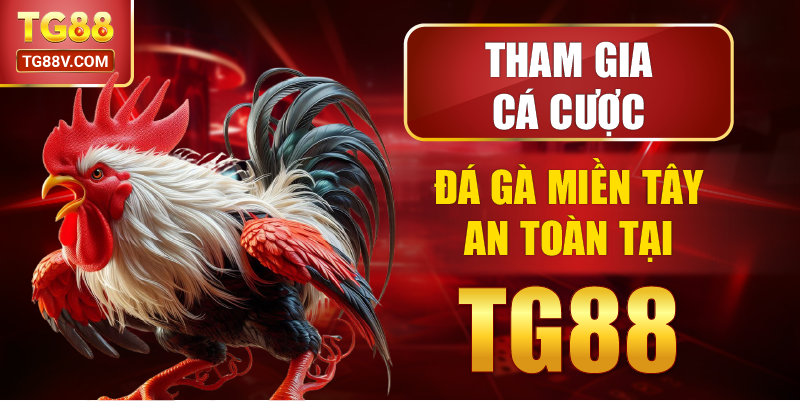 Tham Gia Cá Cược Đá Gà Miền Tây An Toàn Tại TG88