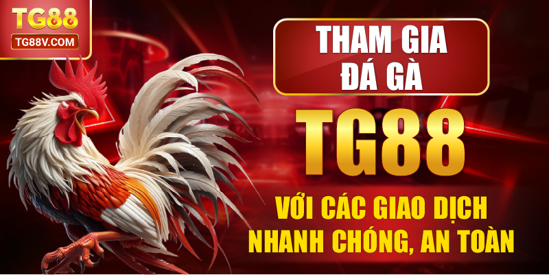 Tham Gia Đá Gà TG88 Với Các Giao Dịch Nhanh Chóng, An Toàn